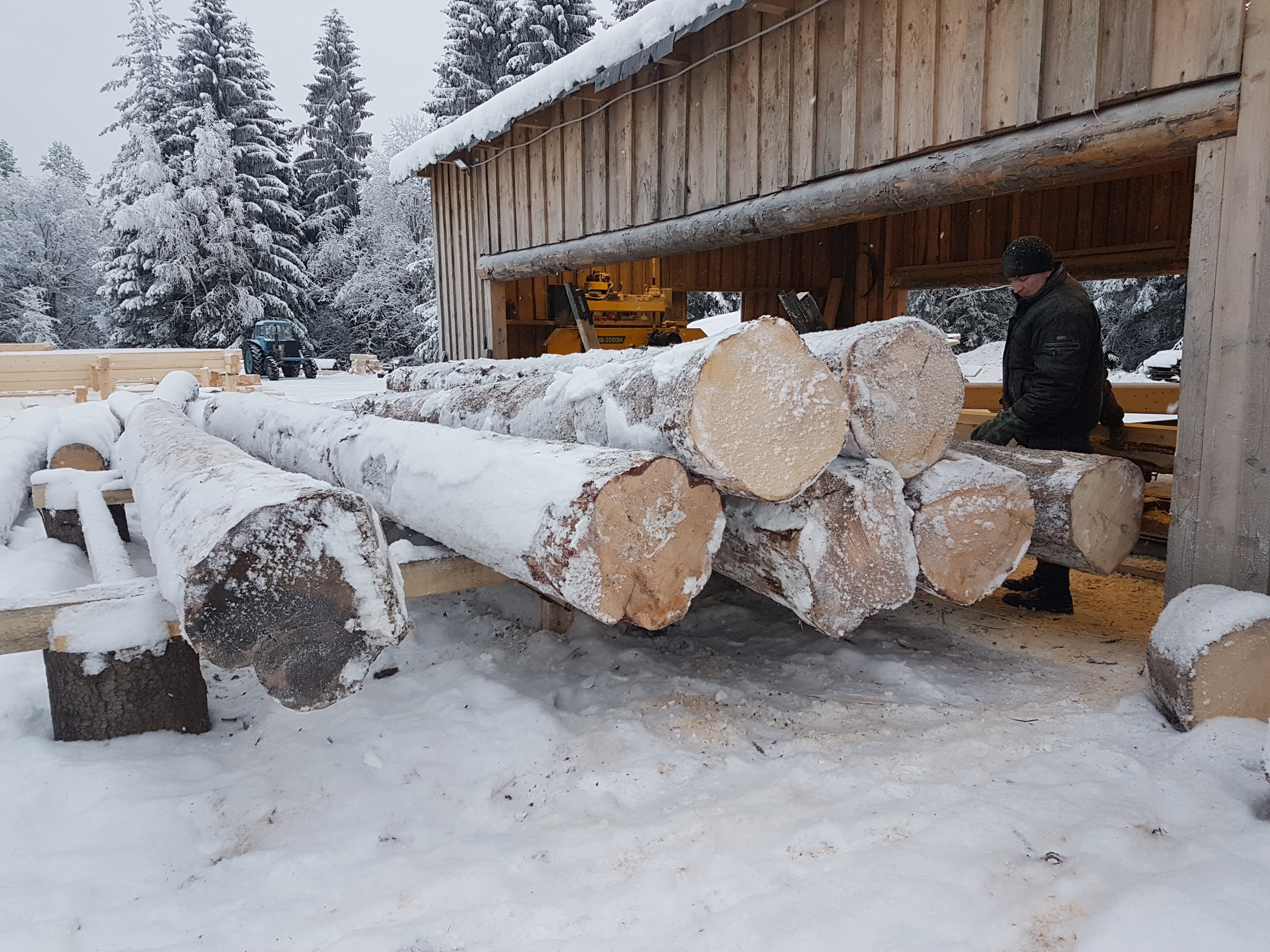 Заготовка зимнего леса